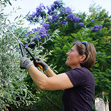 gardening-small.jpg